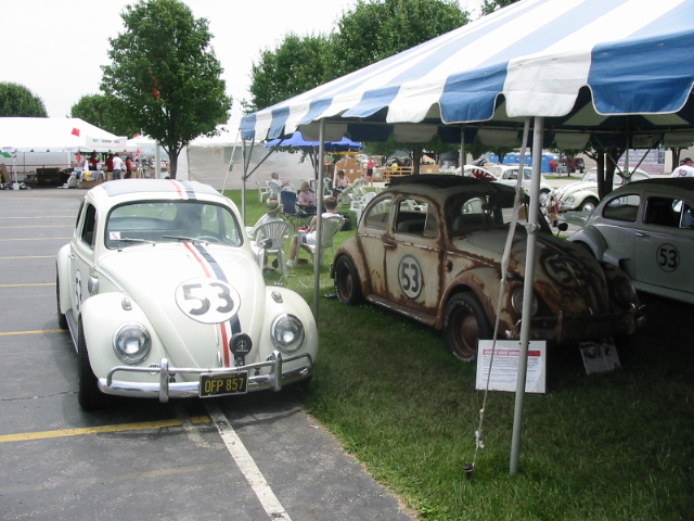 Copy of IMG_8731.JPG